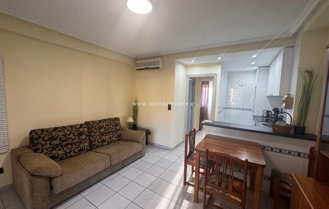 Long Term Rental - Apartment / flat - Torrevieja - Torreblanca