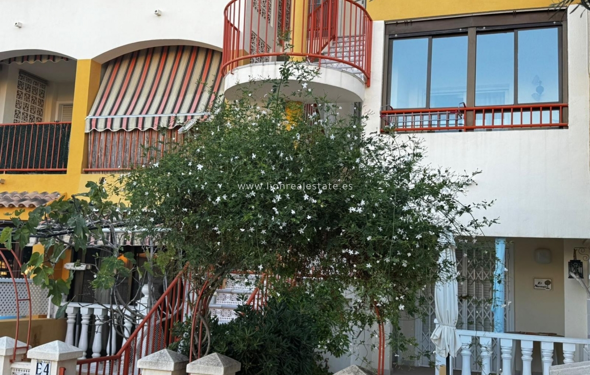 Long Term Rental - Apartment / flat - Torrevieja - Torreblanca