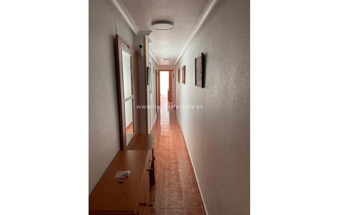 Long Term Rental - Apartment / flat - Torrevieja