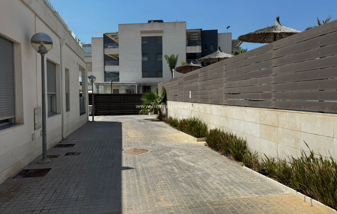 Long Term Rental - Penthouse - Orihuela Costa - Villamartín