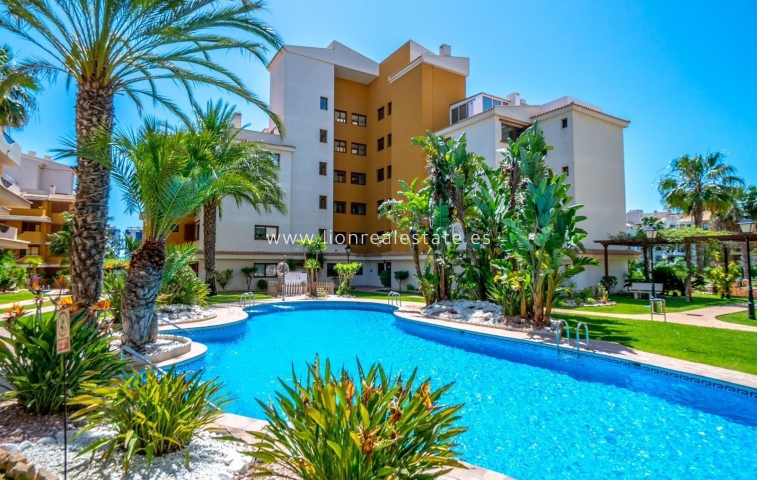 Mieszkanie w bloku - Odsprzedaż - Orihuela Costa - LS-0502/2I