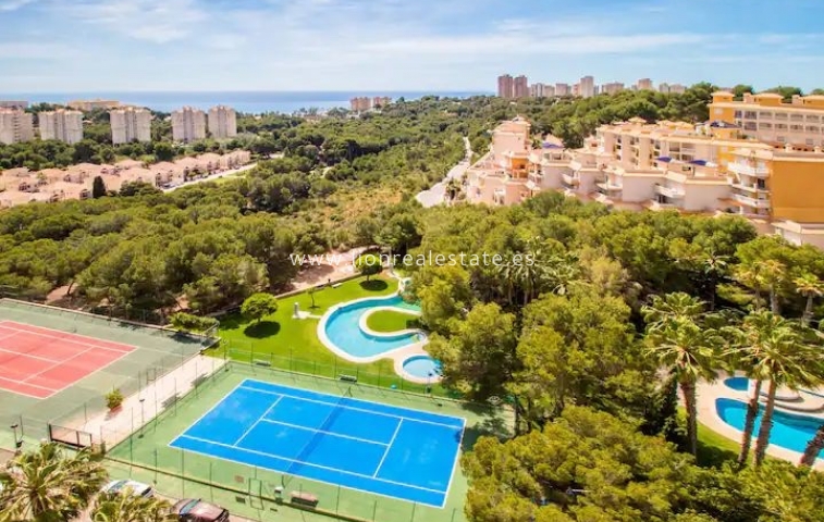 Mieszkanie w bloku - Wynajem długoterminowy - Orihuela Costa - LR-1608