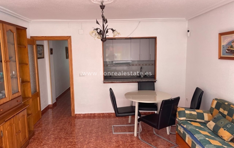 Mieszkanie w bloku - Wynajem długoterminowy - Torrevieja - Torrevieja