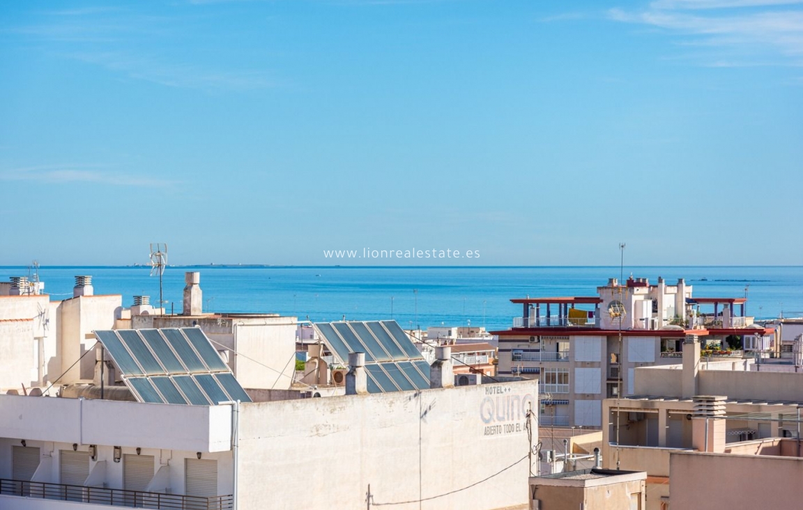 New Build - Apartment / flat - Guardamar del Segura - Centro