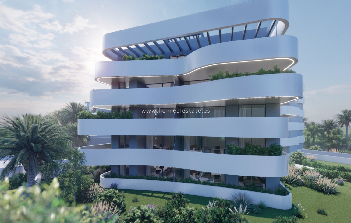 New Build - Apartment / flat - Guardamar del Segura - Guardamar Del Segura