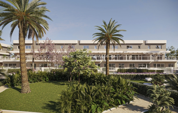 New Build - Apartment / flat - Monforte del Cid