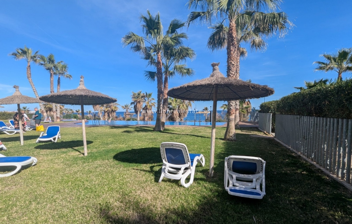 New Build - Apartment / flat - Punta Prima