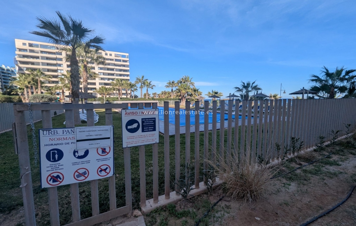 New Build - Apartment / flat - Punta Prima