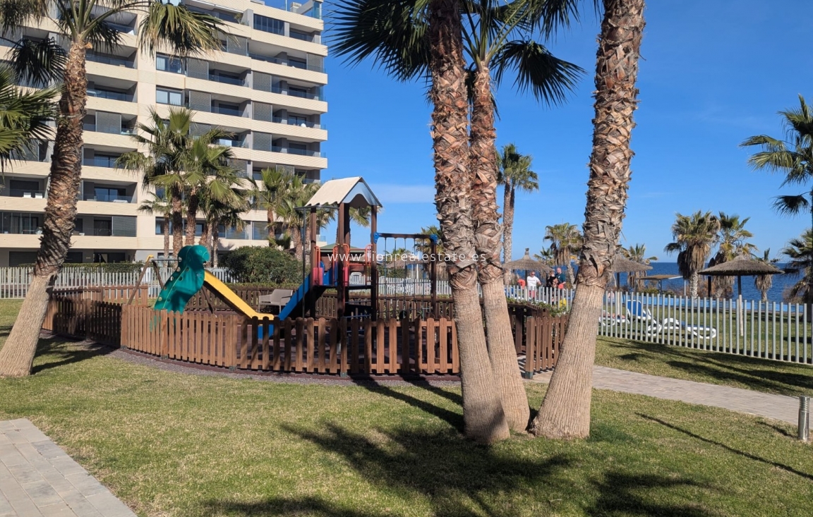 New Build - Apartment / flat - Punta Prima