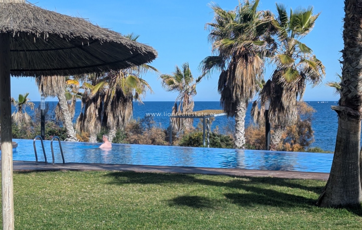 New Build - Apartment / flat - Punta Prima