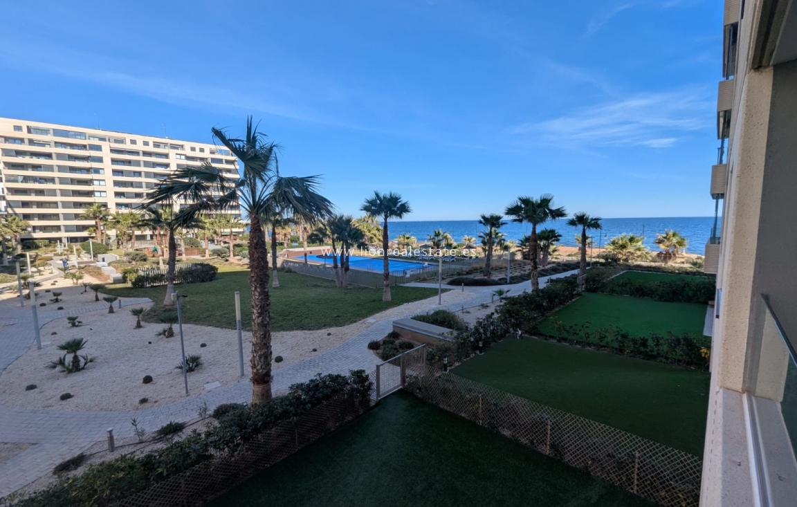 New Build - Apartment / flat - Punta Prima