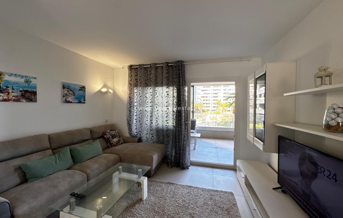 New Build - Apartment / flat - Punta Prima