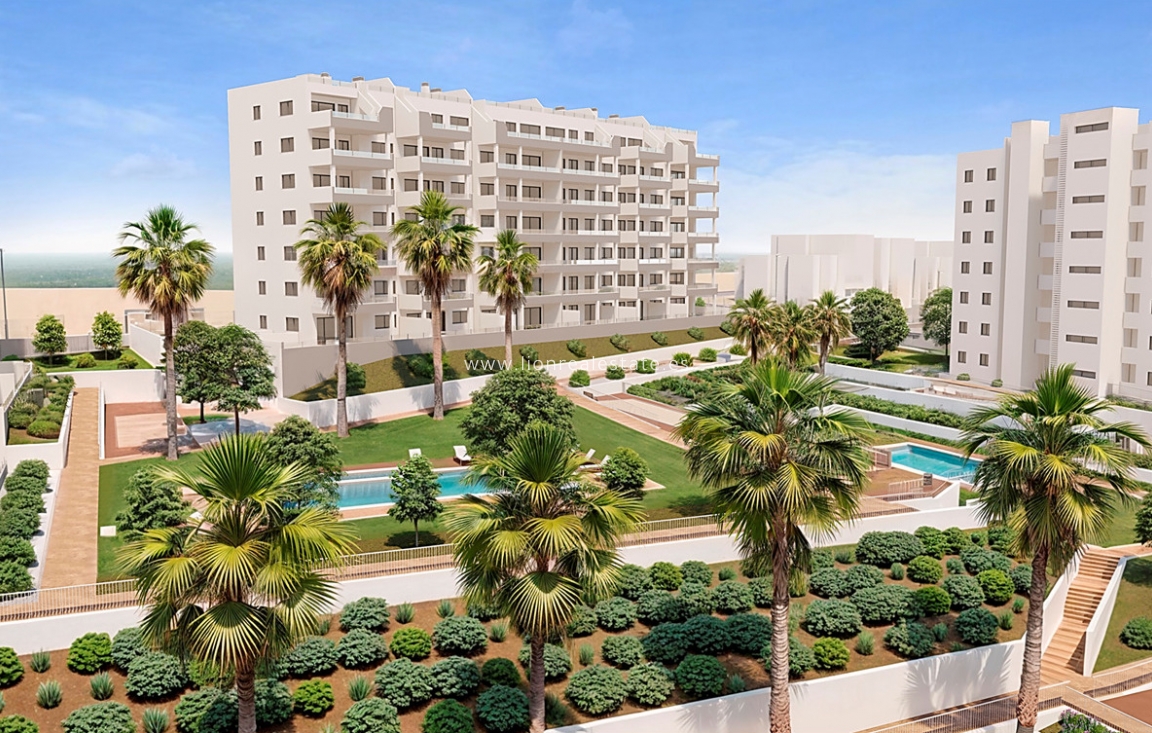 New Build - Apartment / flat - San Miguel de Salinas - San Miguel De Salinas