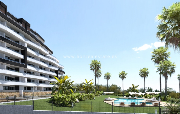 New Build - Apartment / flat - San Miguel de Salinas - San Miguel De Salinas