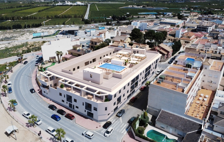 New Build - Apartment / flat - San Miguel de Salinas - San Miguel De Salinas