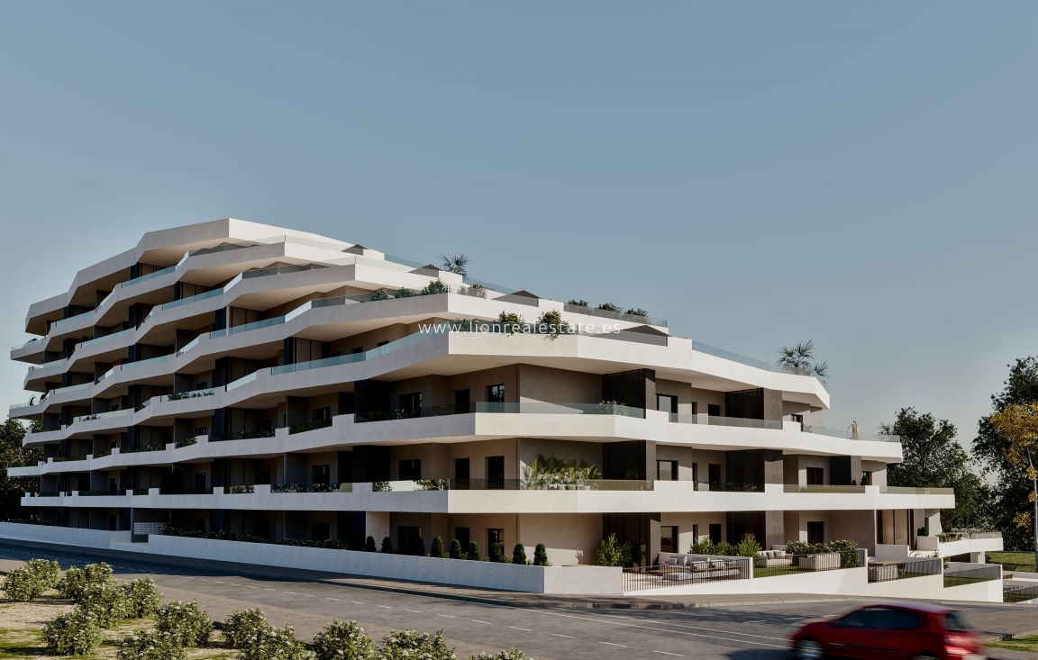 New Build - Apartment / flat - San Miguel de Salinas - San Miguel De Salinas