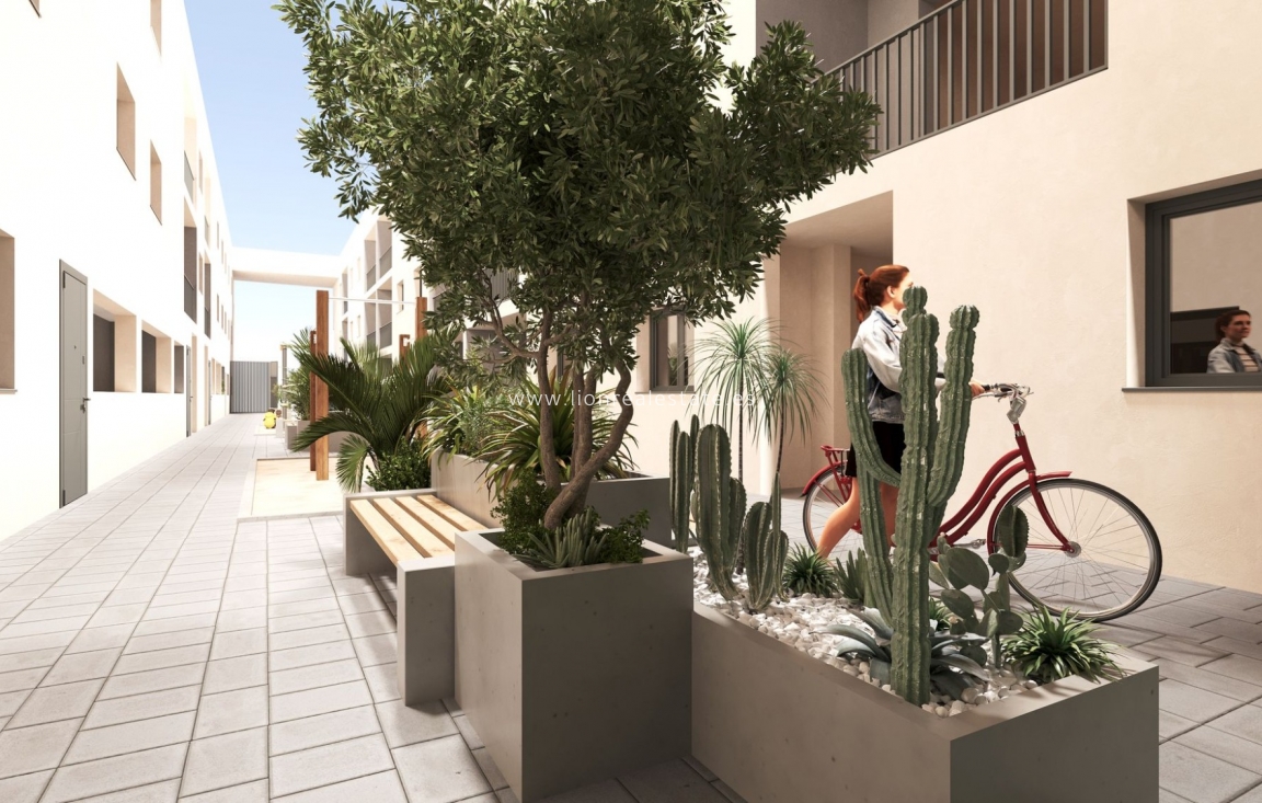 New Build - Apartment / flat - San Miguel de Salinas