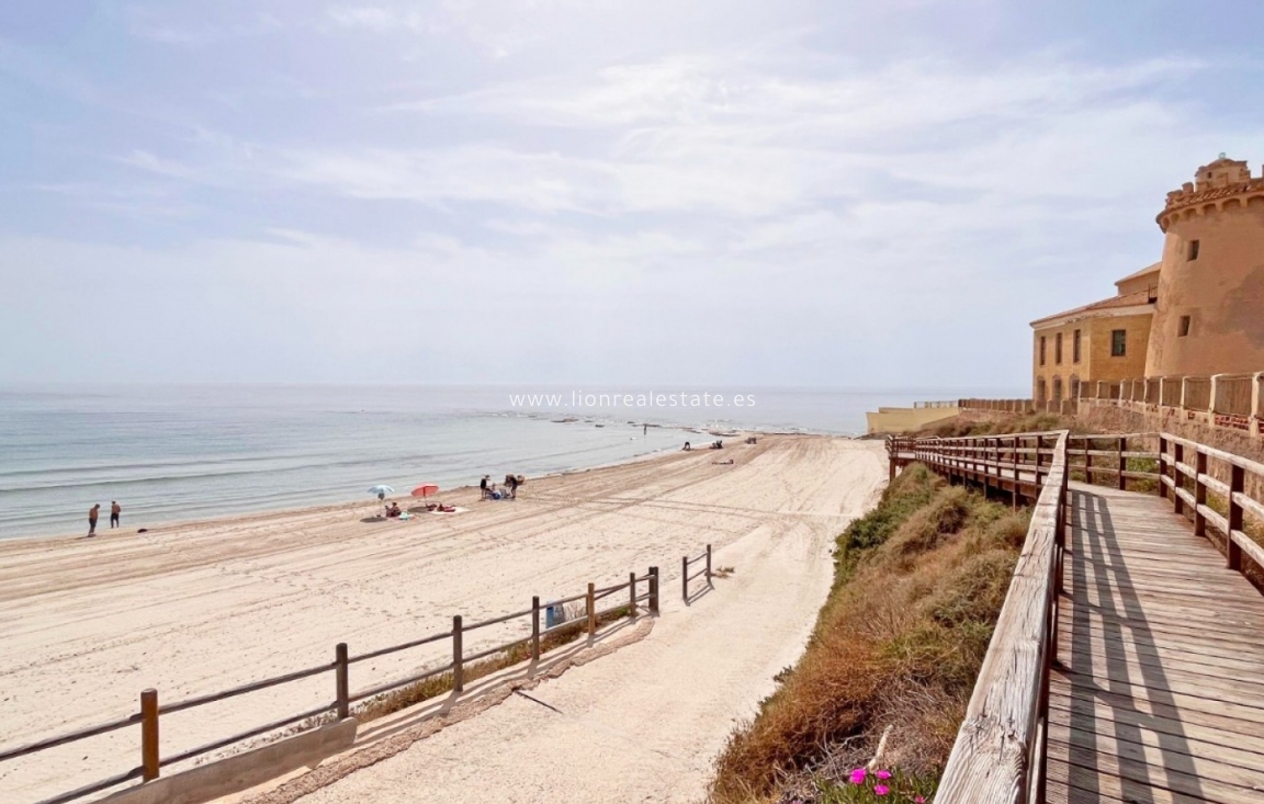 New Build - Bungalow - Pilar de la Horadada - Torre de la Horadada