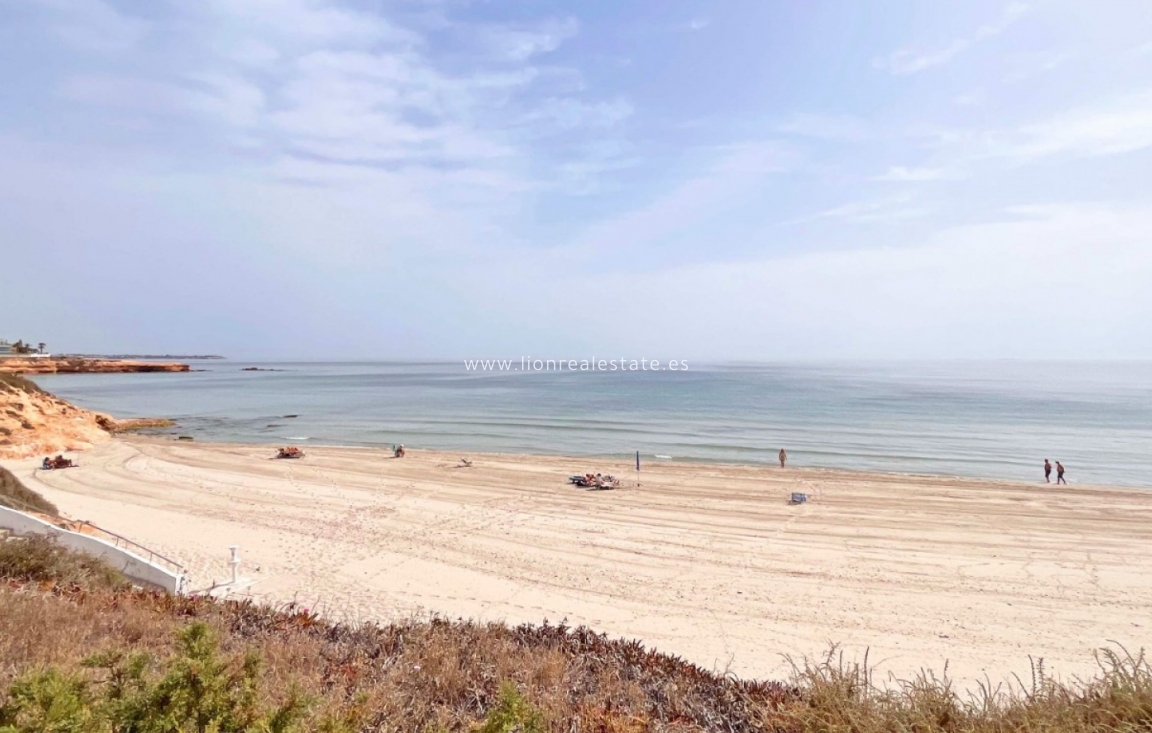 New Build - Bungalow - Pilar de la Horadada - Torre de la Horadada