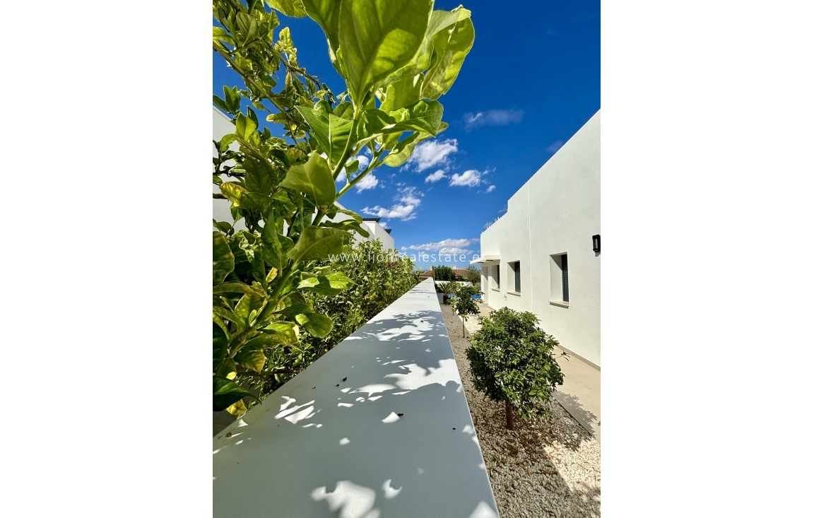 New Build - detached - Benijofar - Benijófar