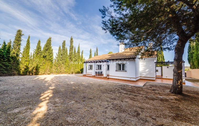 New Build - detached - Fuente Álamo - Fuente Alamo