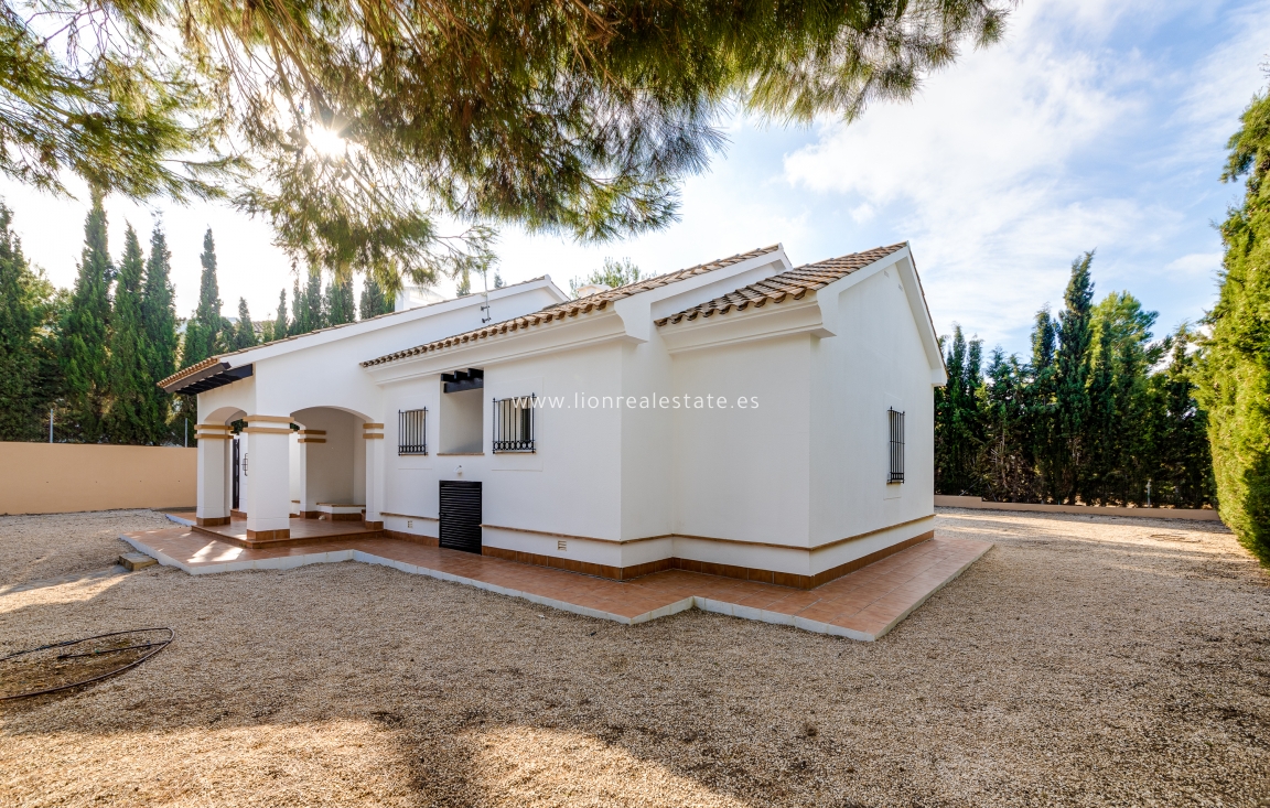 New Build - detached - Fuente Álamo - Fuente Alamo