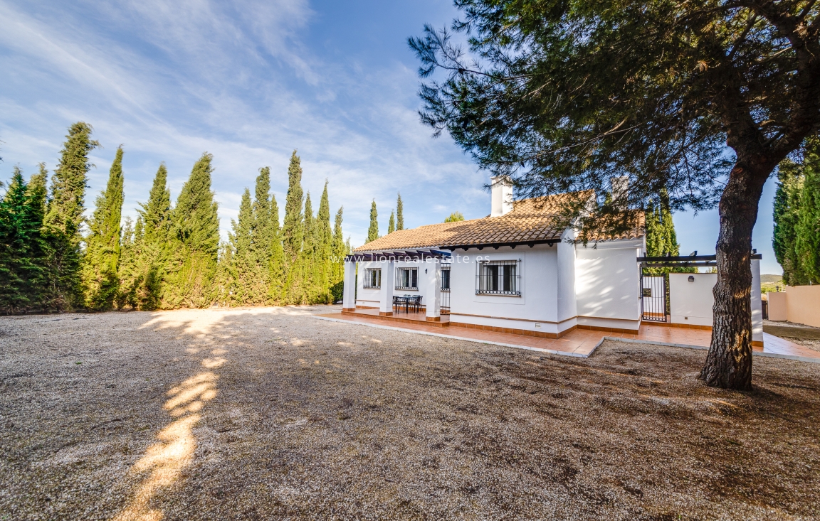 New Build - detached - Fuente Álamo - Fuente Alamo