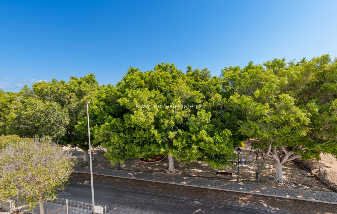 New Build - detached - Pilar de La Horadada - Pilar de la Horadada