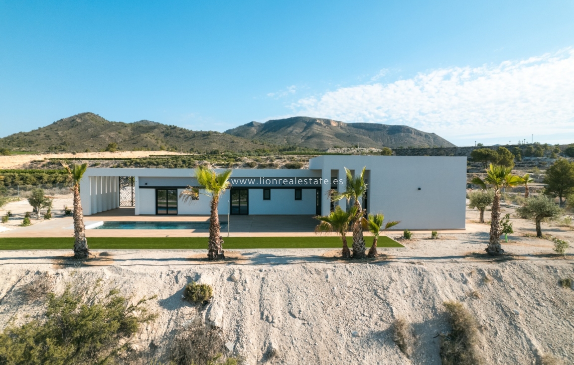 New Build - detached - Pinoso