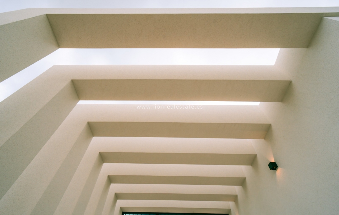 New Build - detached - Pinoso