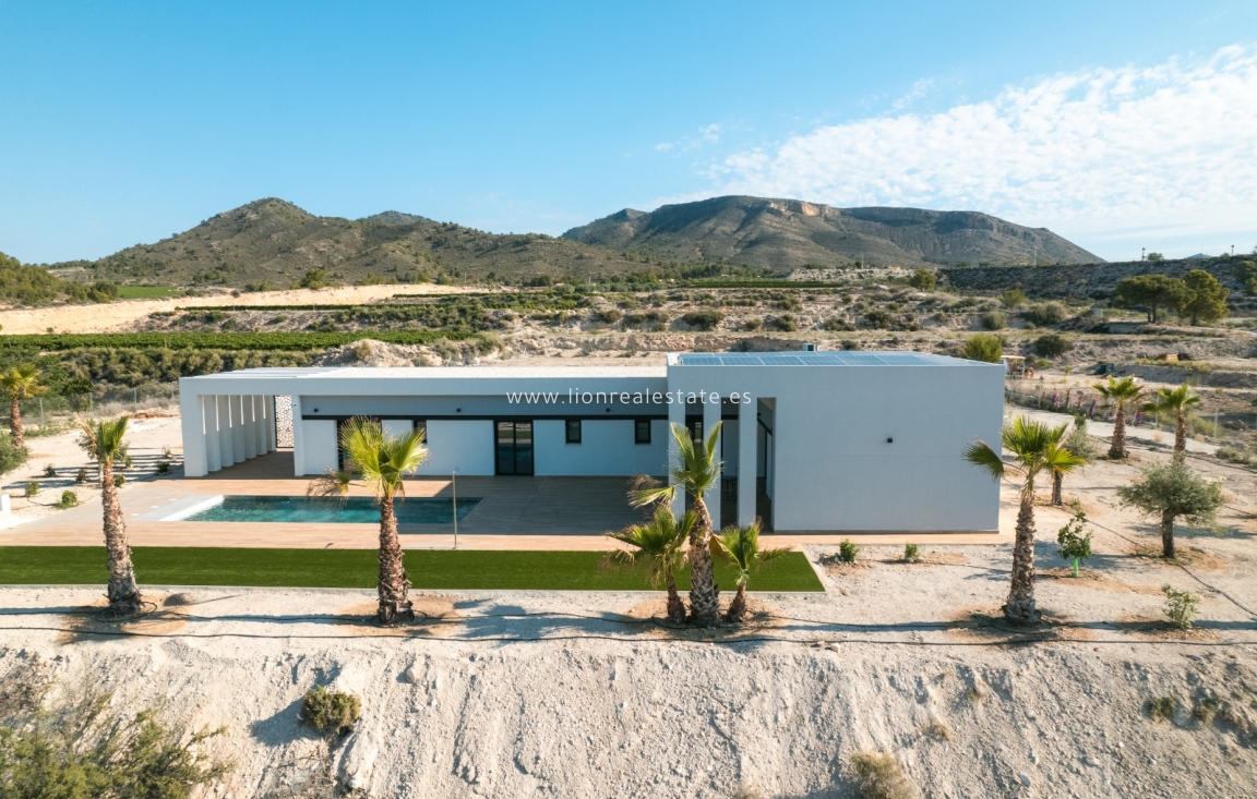 New Build - detached - Pinoso