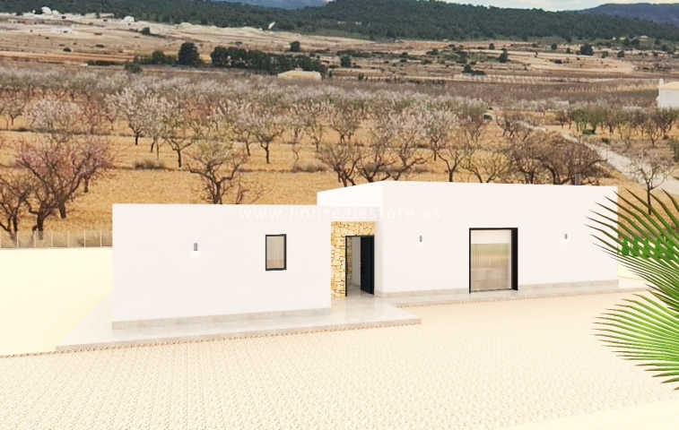 New Build - detached - Pinoso