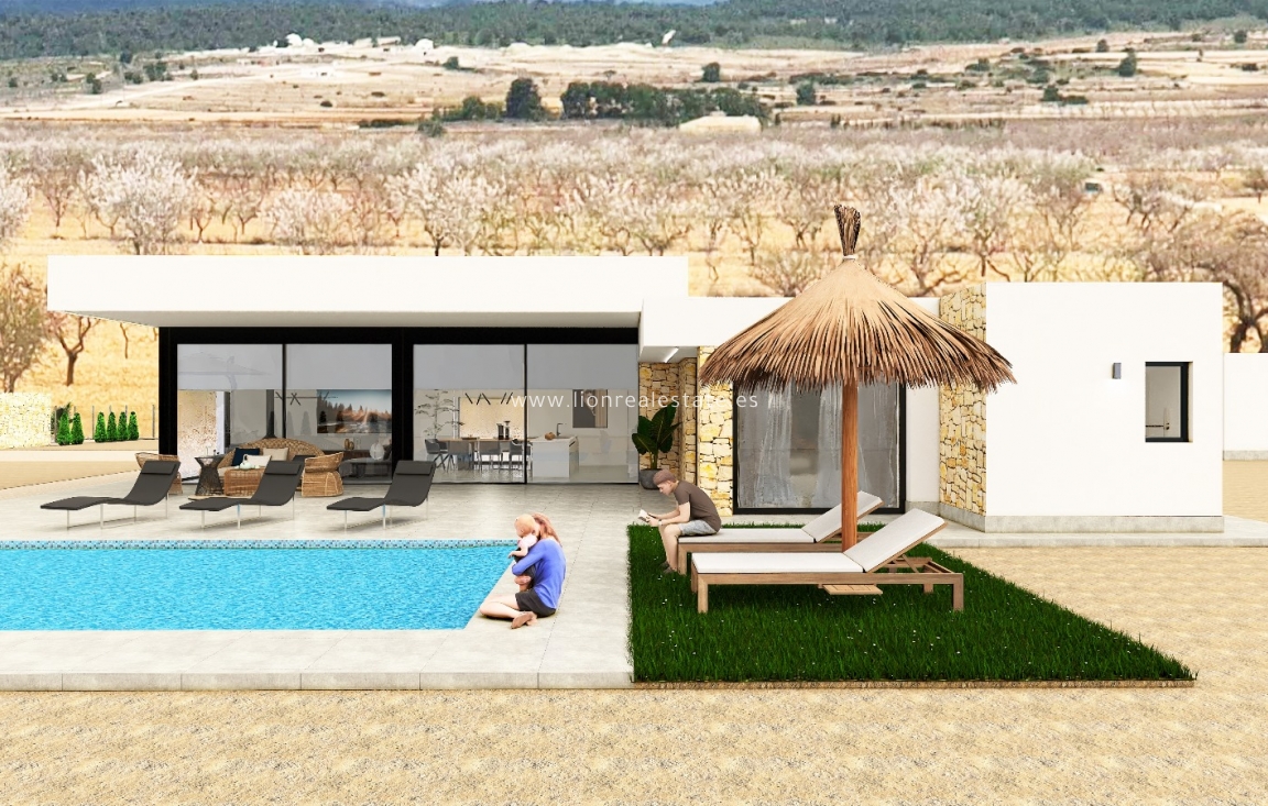 New Build - detached - Pinoso