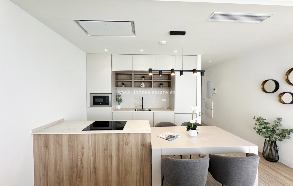 New Build - detached - Torre de la Horadada