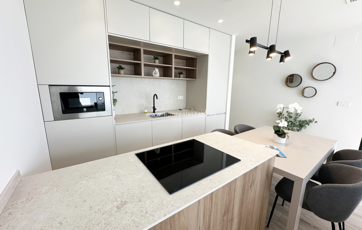 New Build - detached - Torre de la Horadada