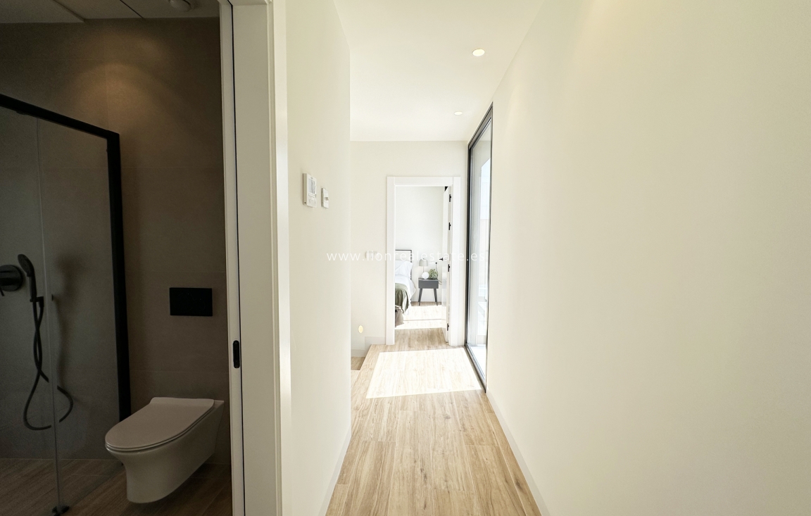 New Build - detached - Torre de la Horadada