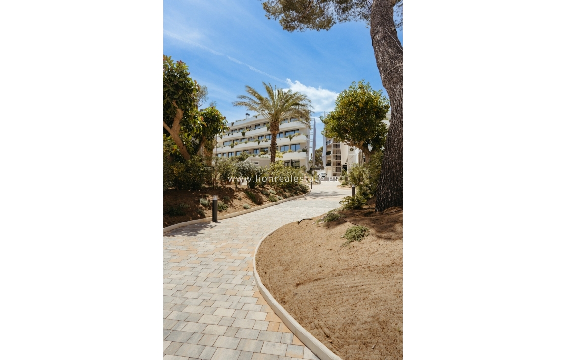 New Build - ground-floor - Alfaz del Pi