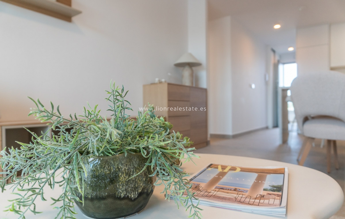 New Build - ground-floor - Playa Flamenca