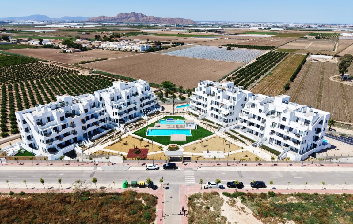 New Build - ground-floor - Torre-Pacheco