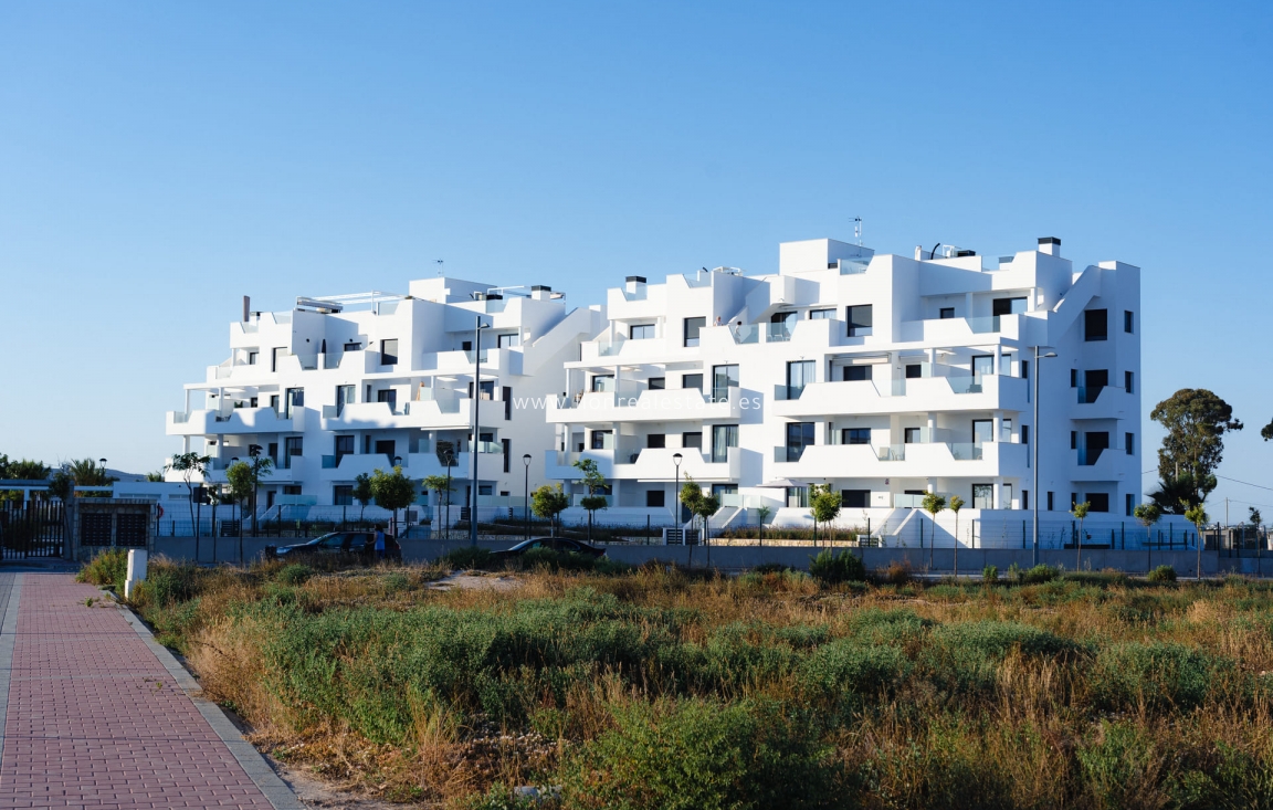 New Build - ground-floor - Torre-Pacheco