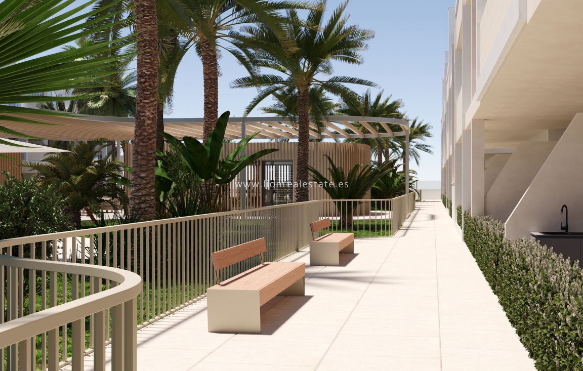 New Build - ground-floor - Torre-Pacheco