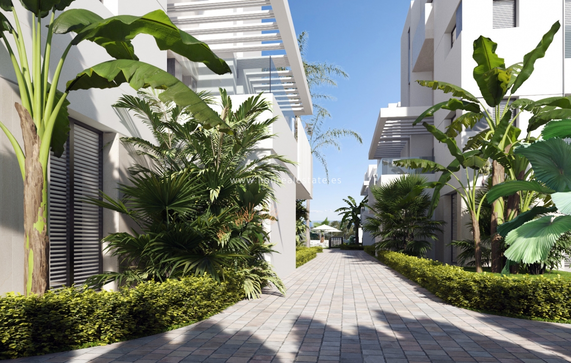 New Build - ground-floor - Torre-Pacheco