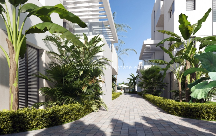 New Build - ground-floor - Torre-Pacheco