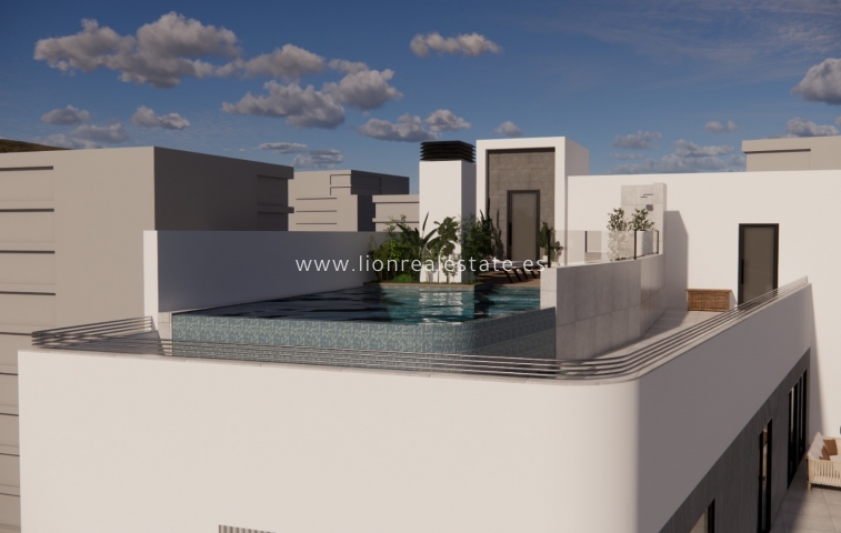 New Build - Penthouse - La Mata