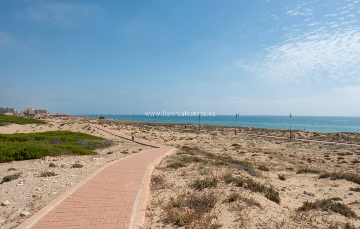 New Build - Penthouse - Torrevieja - La Mata