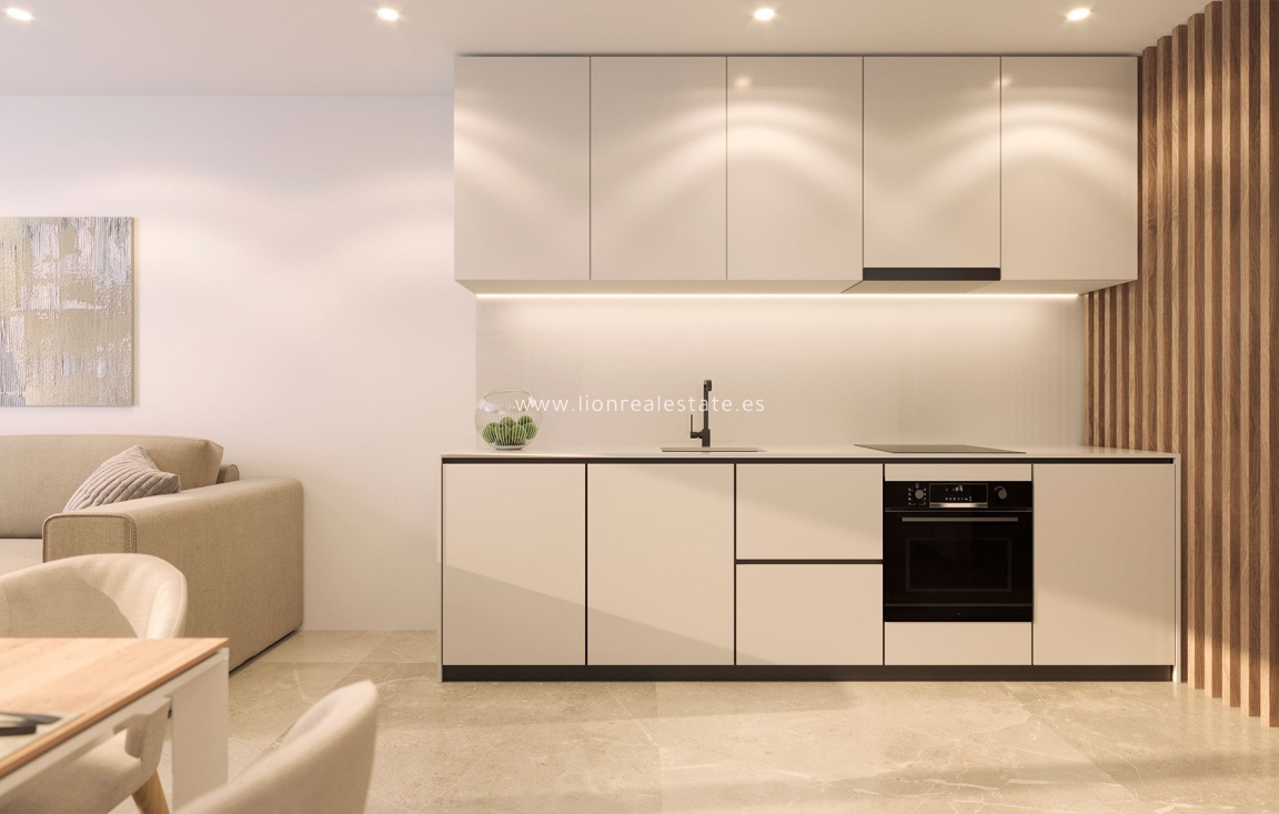 New Build - Penthouse - Torrevieja