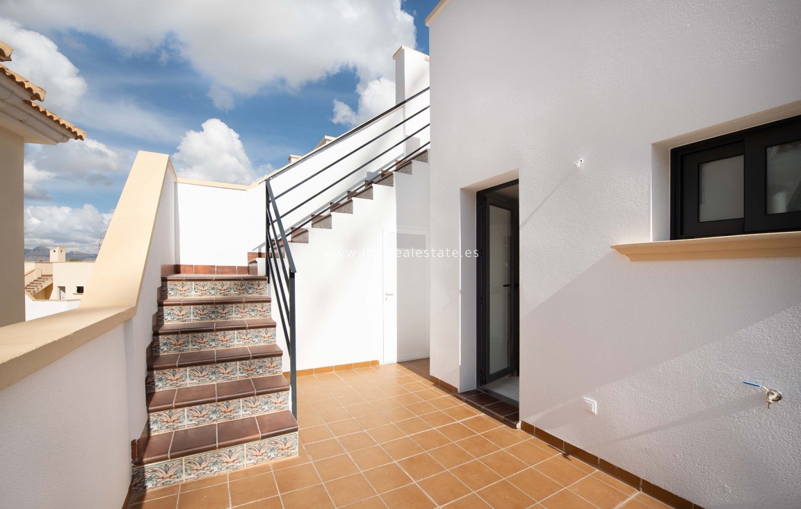 New Build - terraced - Cox