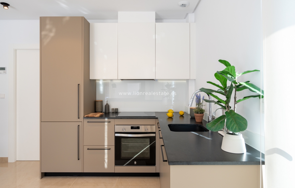 New Build - terraced - Elche