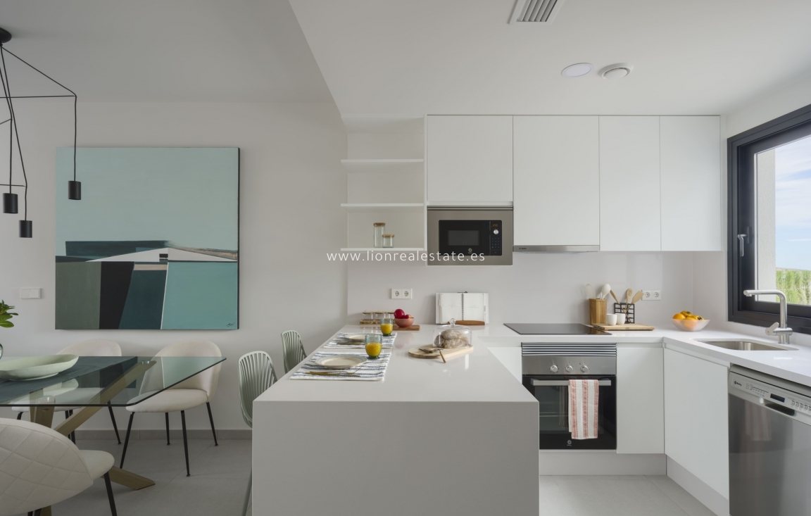 New Build - terraced - Murcia