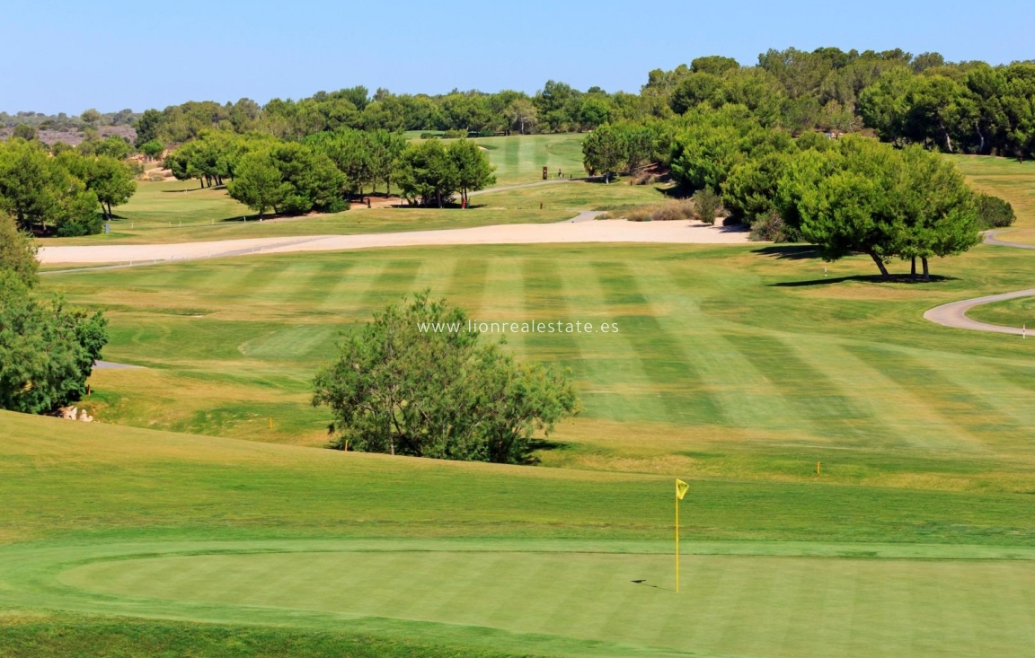 New Build - Villa - Pilar de La Horadada - Lo Romero Golf